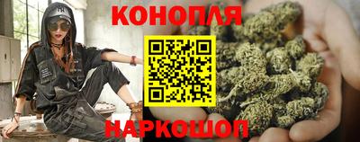 сатива Обнинск