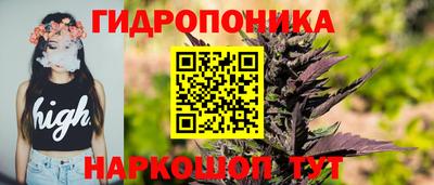 гидропоника Обь