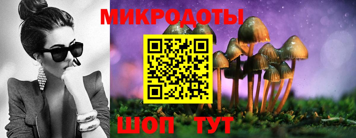 Галлюциногенные грибы MAGIC MUSHROOMS Тобольск