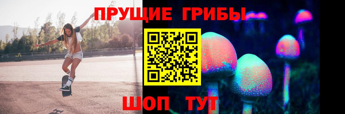 Галлюциногенные грибы MAGIC MUSHROOMS  Псилоцибиновые грибы Cubensis  магазин    Вход с VPN  Тобольск 